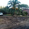 Alluvione Isola d\'Elba
